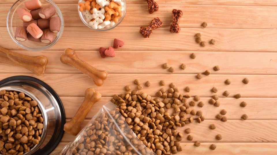 Pet Food