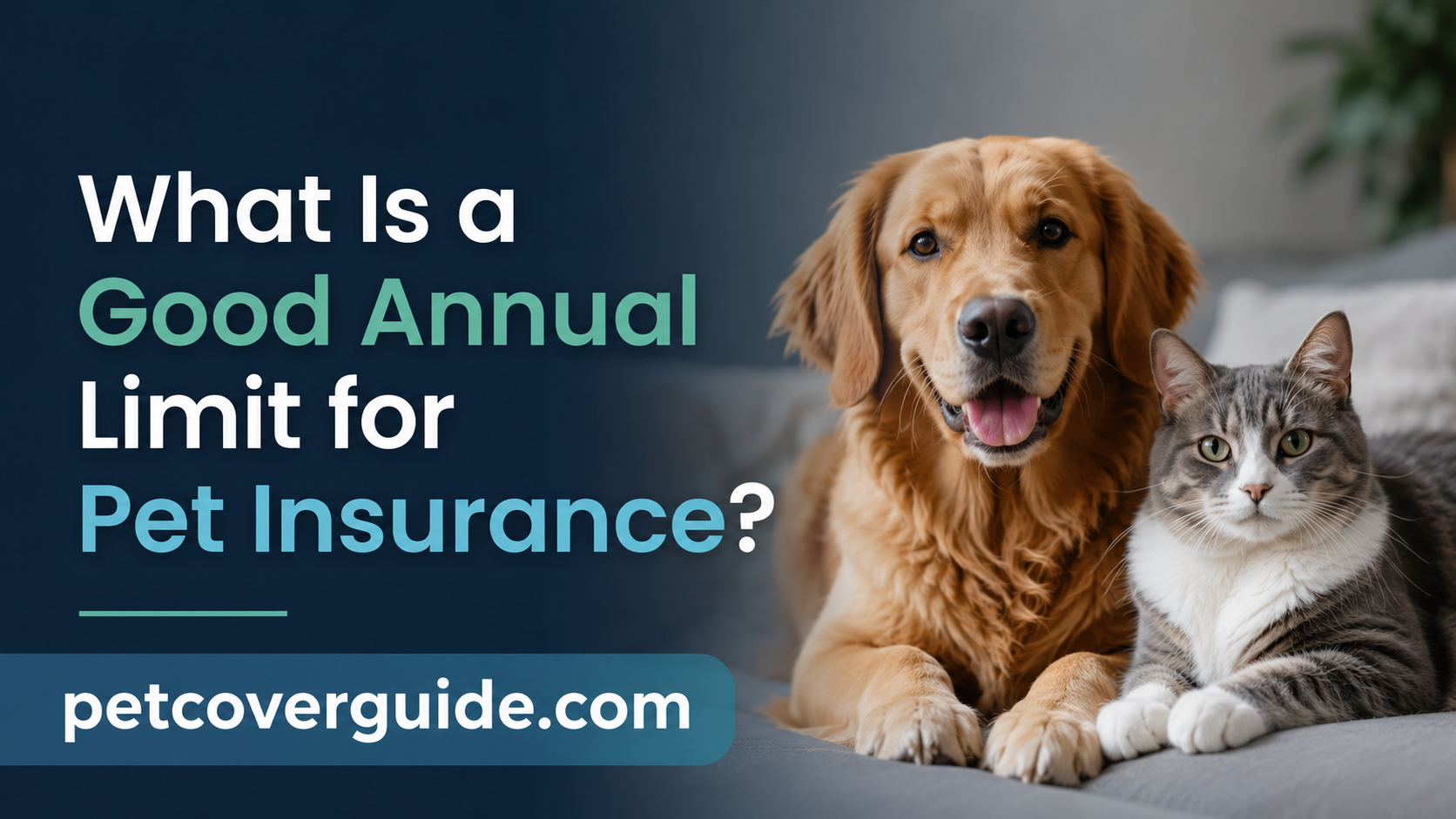 What Is a Good Annual Limit for Pet Insurance